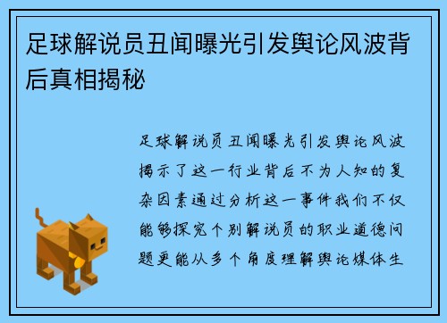 足球解说员丑闻曝光引发舆论风波背后真相揭秘