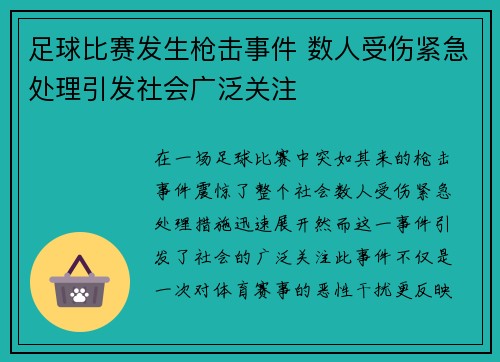 足球比赛发生枪击事件 数人受伤紧急处理引发社会广泛关注