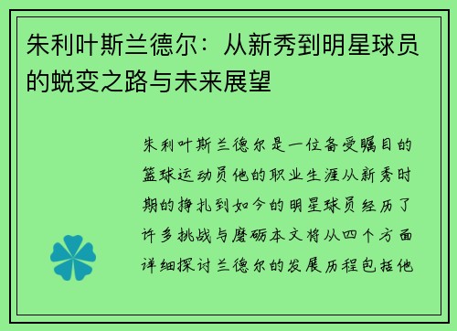 朱利叶斯兰德尔：从新秀到明星球员的蜕变之路与未来展望