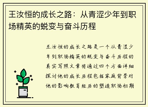 王汝恒的成长之路：从青涩少年到职场精英的蜕变与奋斗历程