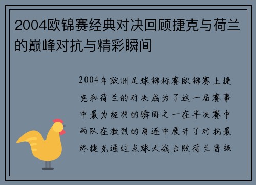 2004欧锦赛经典对决回顾捷克与荷兰的巅峰对抗与精彩瞬间