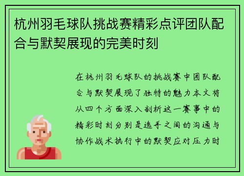 杭州羽毛球队挑战赛精彩点评团队配合与默契展现的完美时刻