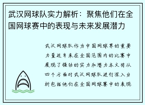 武汉网球队实力解析：聚焦他们在全国网球赛中的表现与未来发展潜力