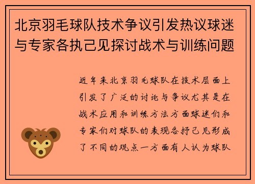 北京羽毛球队技术争议引发热议球迷与专家各执己见探讨战术与训练问题
